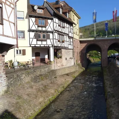 Apartment Haus Sonneneck Neckarsteinach